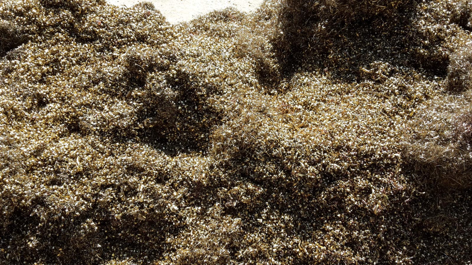 Messingankauf - Seubert Rohstoffhandel Foto 4